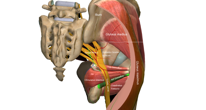 Pudendal nerve block