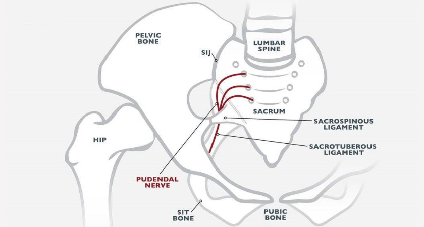 Diagnostics of pudendal neuralgia: Nantes criteria.