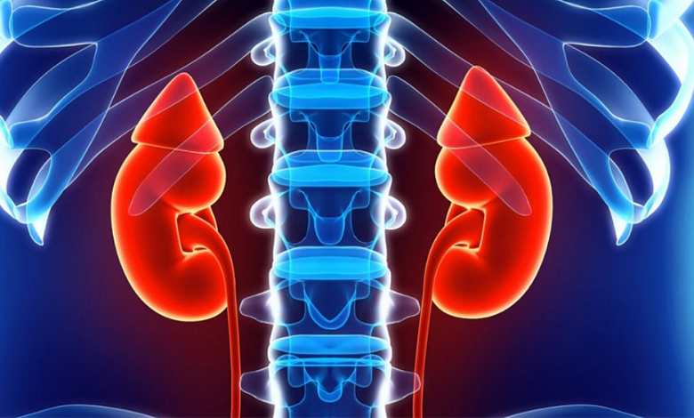 Renal tumor ablation